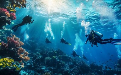Plongée avec les requins en Nouvelle-Zélande : découvrez les espèces intéressantes des eaux néo-zélandaises étudiées par les chercheurs
